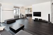 image of interior  - Modern minimalism style sitting room interior in black and white tones - JPG 