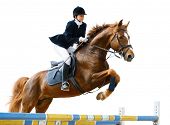 stock photo of horse  - Young girl jumping with sorrel horse  - JPG 