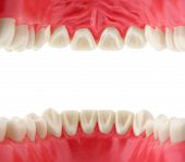 stock photo of inside  - mouth with teeth from inside isolated on white - JPG 