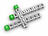 stock photo of leadership  - Skills Knowledge Abilities  - JPG 
