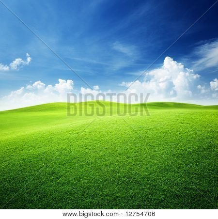 Picture or Photo of Green field and blue sky