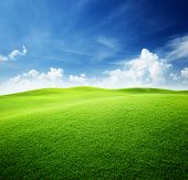 stock photo of sky  - green field and blue sky - JPG 