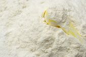 image of food  - powder milk and a yellow spoon - JPG 