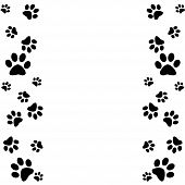 stock photo of dog  - Animal paws border in black and white - JPG 