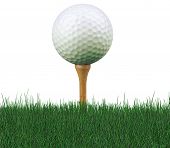 pic of golf  - worm - JPG 