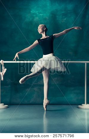 Young teen ballerina remarkable Were visited young teen ballerina with