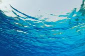 picture of ripple  - Abstract background of Blue water ripples from underwater - JPG 