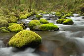 picture of flow  - This Picture of water flowing around mossy rocks was taken during the spring in the forests of Oregon - JPG 