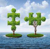 picture of merge  - Growth connection with two trees in the shape of jigsaw puzzle pieces floating on an ocean moving together to merge into one strong partnership as a business concept of teamwork - JPG 