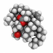 foto of animals  - Saturated animal fat triglyceride molecule - JPG 