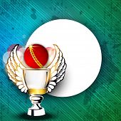picture of sports  - Sports background with shiny cricket ball - JPG 