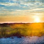 picture of beach  - A beautiful square image of a sunset at the beach - JPG 