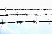 stock photo of wire  - close up Barbed wire Fence and clear sky - JPG 