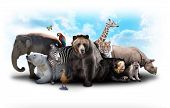 foto of animals  - A group of animals are grouped together on a white background - JPG 