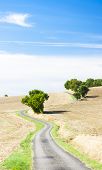 image of france  - field with a road - JPG 