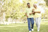 stock photo of walking  - Senior Couple Walking In Park - JPG 