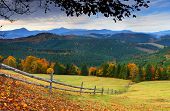 picture of landscape  - the mountain autumn landscape with colorful forest - JPG 
