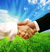 stock photo of handshake  - Business handshake on nature background concept - JPG 