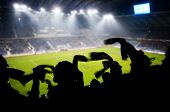 foto of competition  - Silhouettes of fans celebrating a goal on football  - JPG 