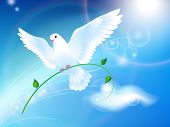 stock photo of peace  - Dove of Peace in the sky - JPG 